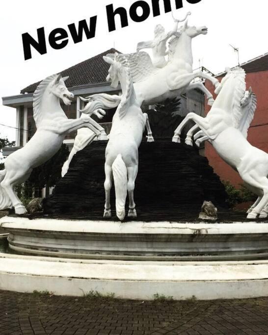 House In Timur